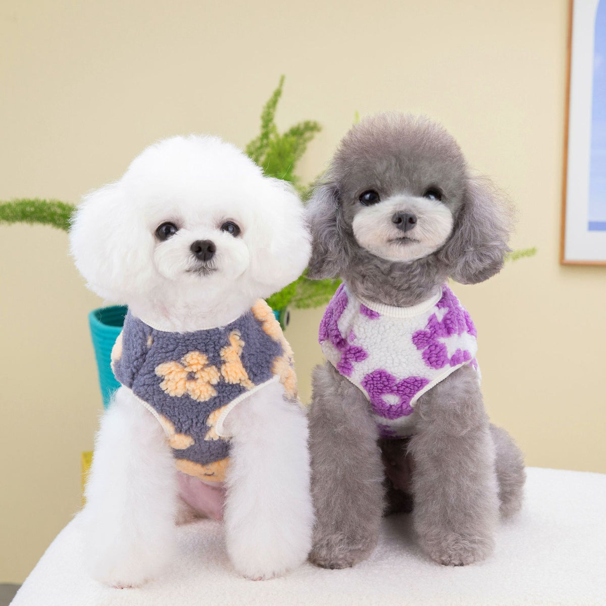 Cat Pet Clothing Winter Five-Petal Flower Velvet Coat