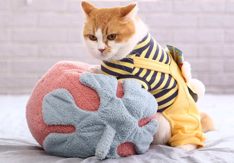 Warm And Cute Clothes For Four-legged Anti-lint Cat And Pet
