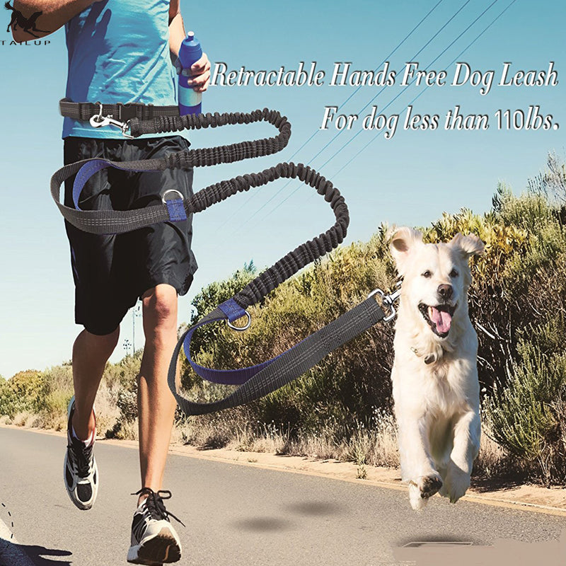direct pet supplies multi-function running reflective pull dog leash double elastic dog leash traction