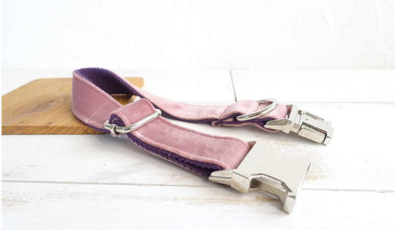 Pet Traction Collar Dog Collar