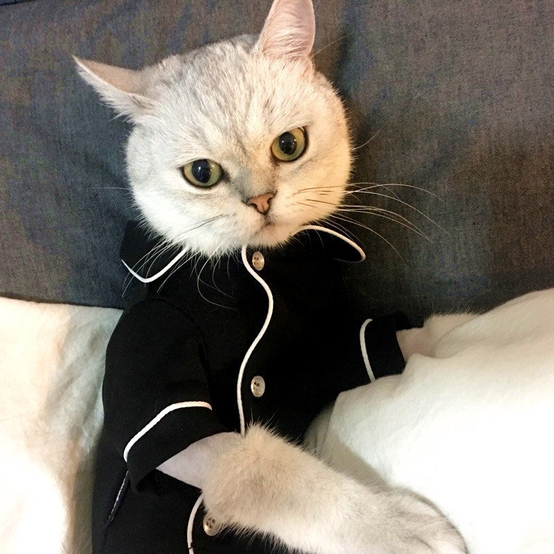 Cat clothes summer dress