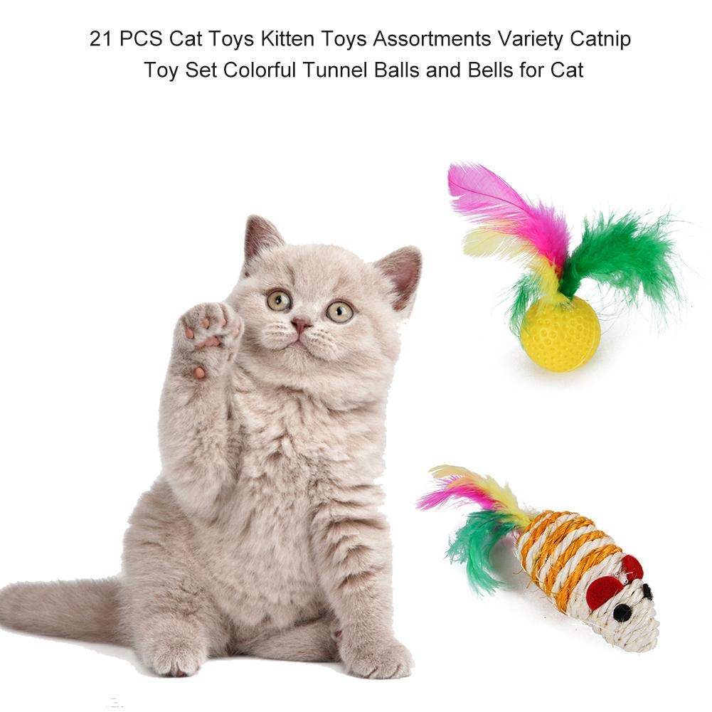 Funny Cat Stick