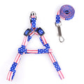 Patch colorful chest strap