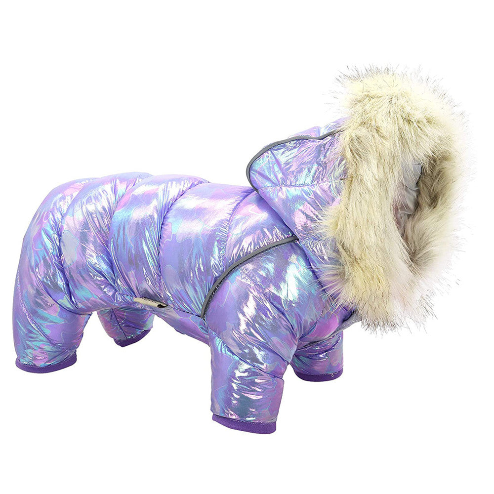Dog clothes colorful hat four legged sweater button
