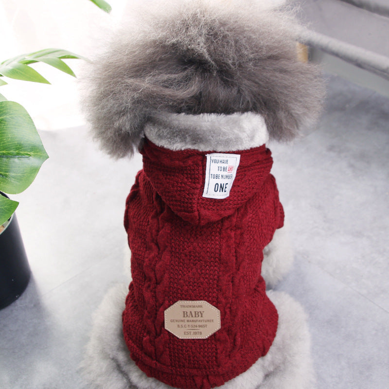 Teddy dog clothes