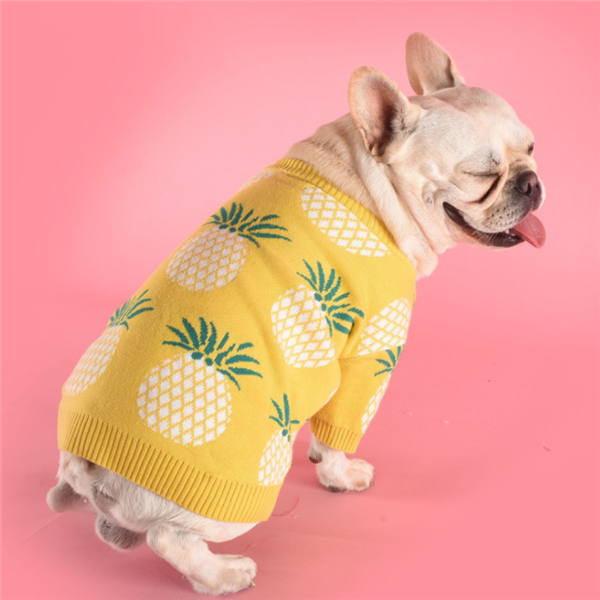 Pineapple sweater
