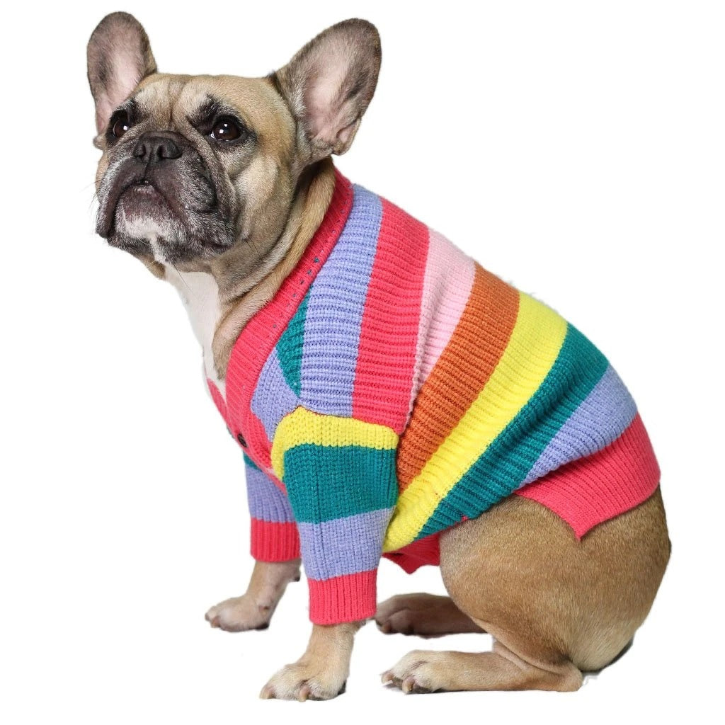 Dog Rainbow Striped Cardigan