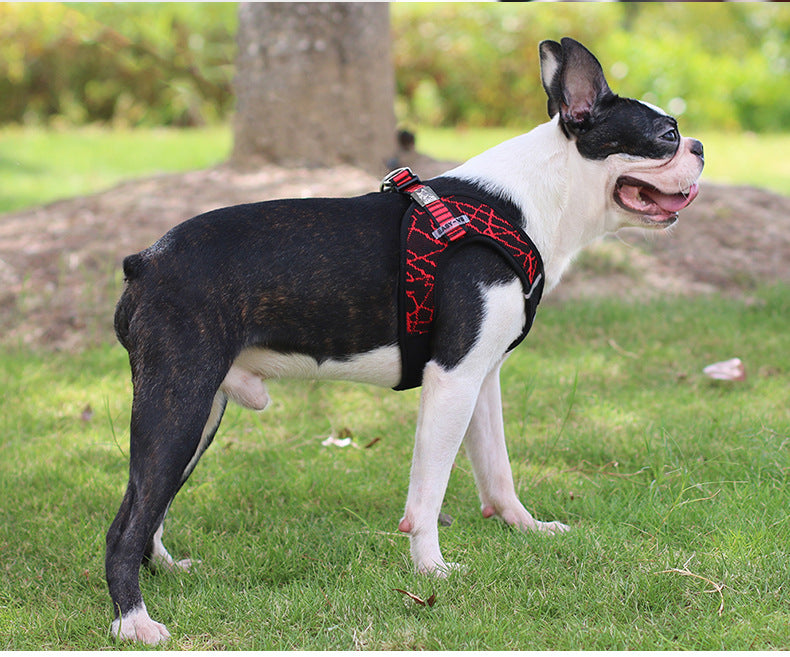 Pet supplies chest harness pet leash
