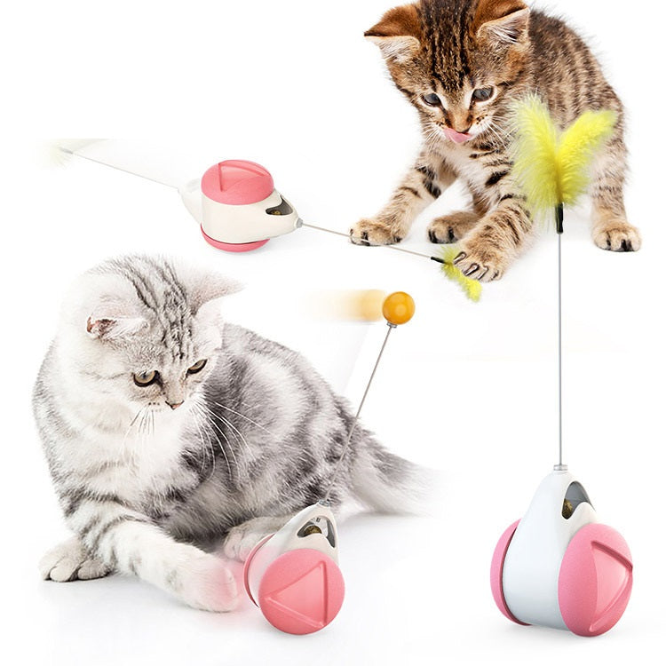 Balance swing car funny cat toy