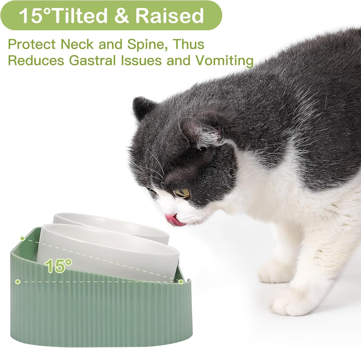 Ceramic Elevated Cat Bowls For Indoor Cats 15 Tilted Stand Anti Vomiting Raised Cat Food And Water Bowls Set Raised Cat Bowls With Non Slip Cat Bowl