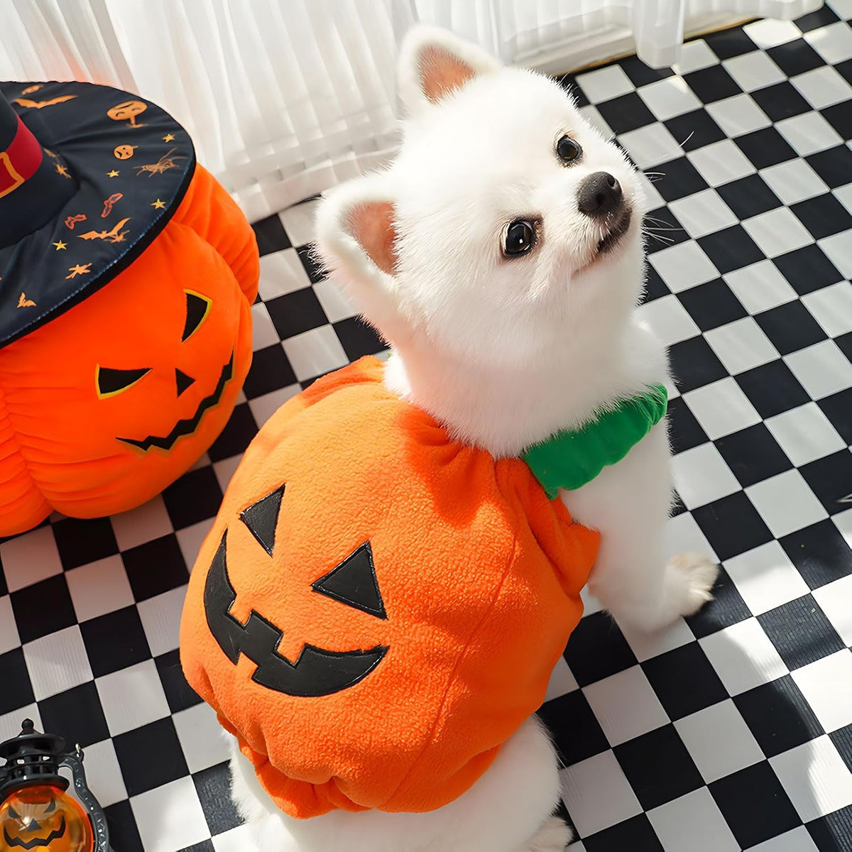 Funny Pumpkin Dog Halloween Costume Pet Dog Cat Thick Plush Pumpkin Decoration Shirt Clothes For Small Medium Dogs Cats Puppy Cute Halloween Party