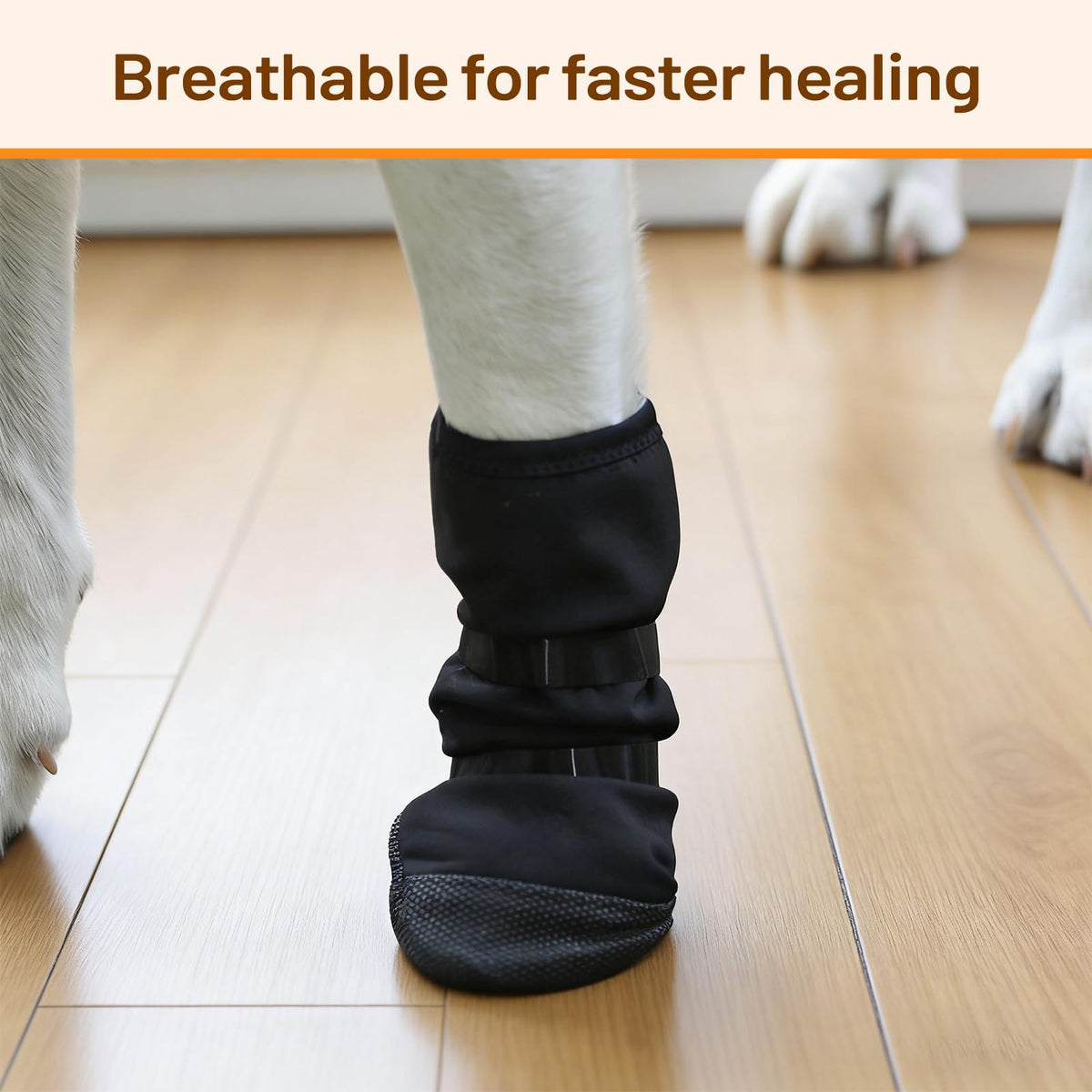 Dog Recovery Boot For Injured Paws - Breathable Dog Shoes With Non-Slip Sole & Self-Adhesive Strap, Dog Bootie To Protect Wounds From Licking, Dirt