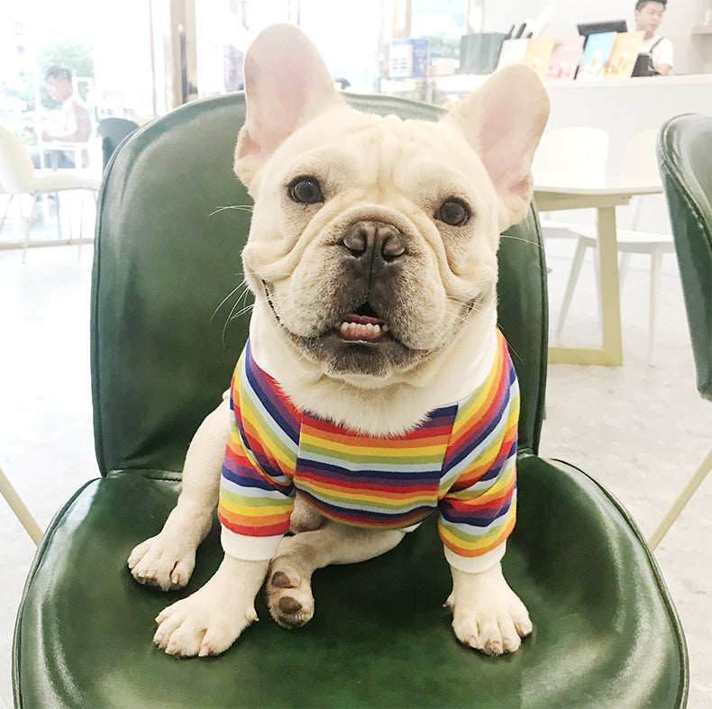 Trendy Brand Dog Clothes Pet Clothes Stretch Cotton