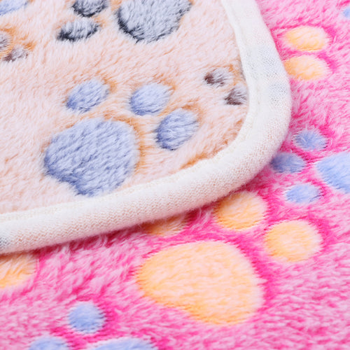 Autumn And Winter Warm Coral Fleece Blanket