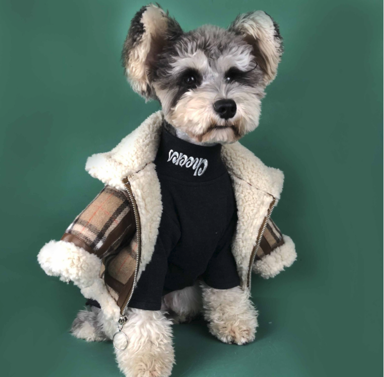 Dog Cat Tide Brand Padded High Neck Long Sleeve Bottoming Shirt