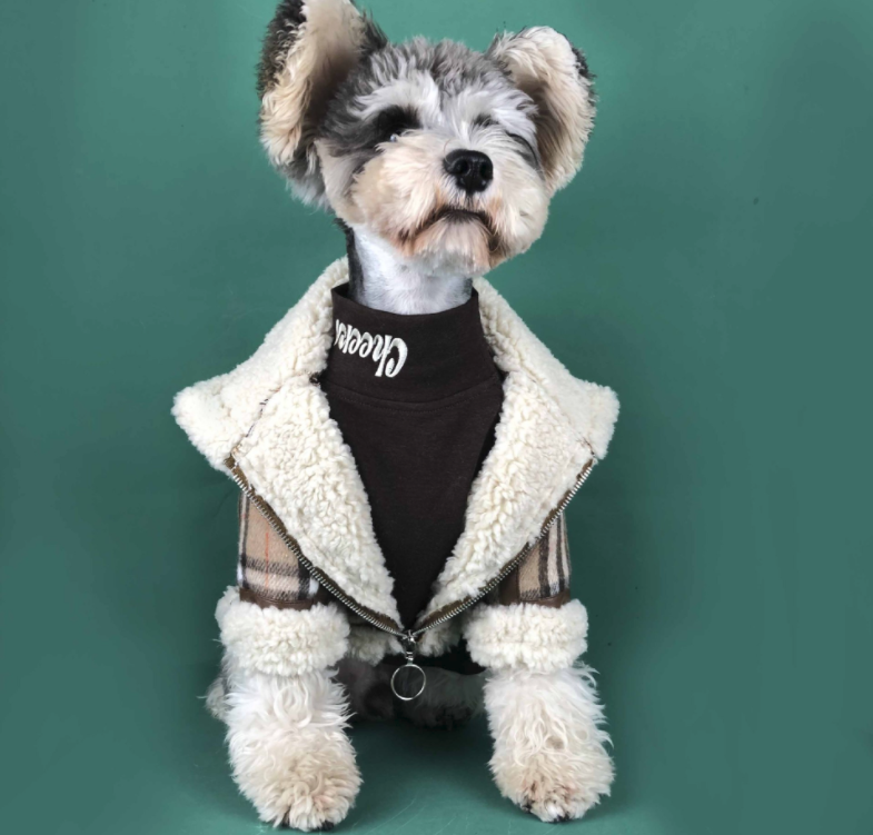Dog Cat Tide Brand Padded High Neck Long Sleeve Bottoming Shirt
