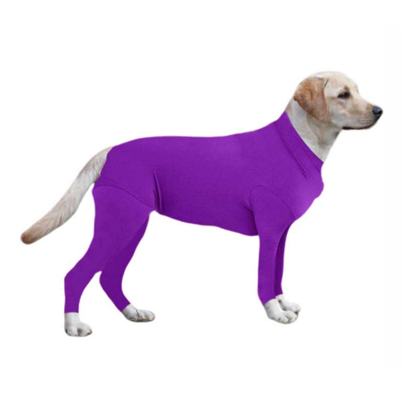 Dog Clothes For Autumn And Winter