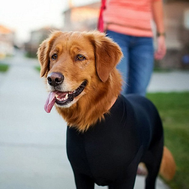 Dog Clothes For Autumn And Winter