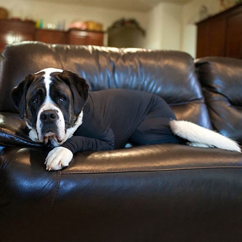Dog Clothes For Autumn And Winter