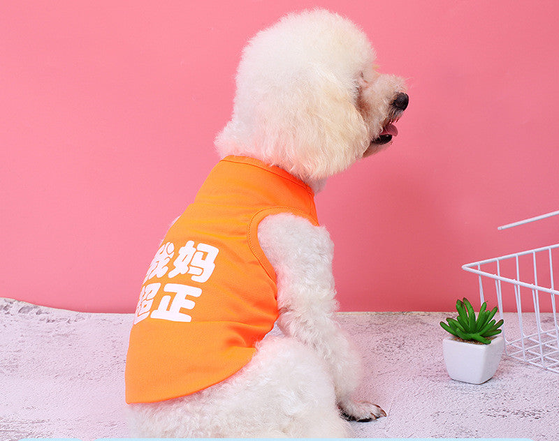 Small Dog Funny Cat Bichon Fight Pomeranian Small DogClothes