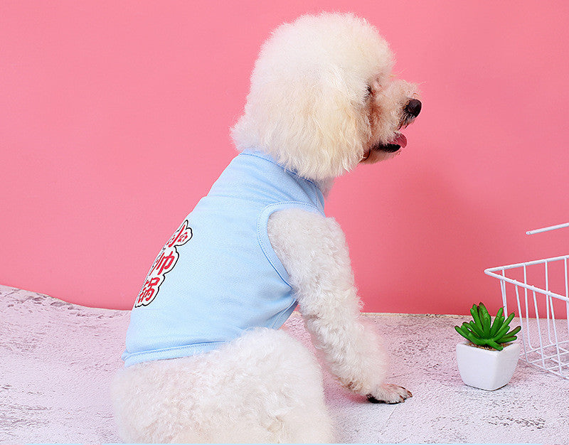 Small Dog Funny Cat Bichon Fight Pomeranian Small DogClothes