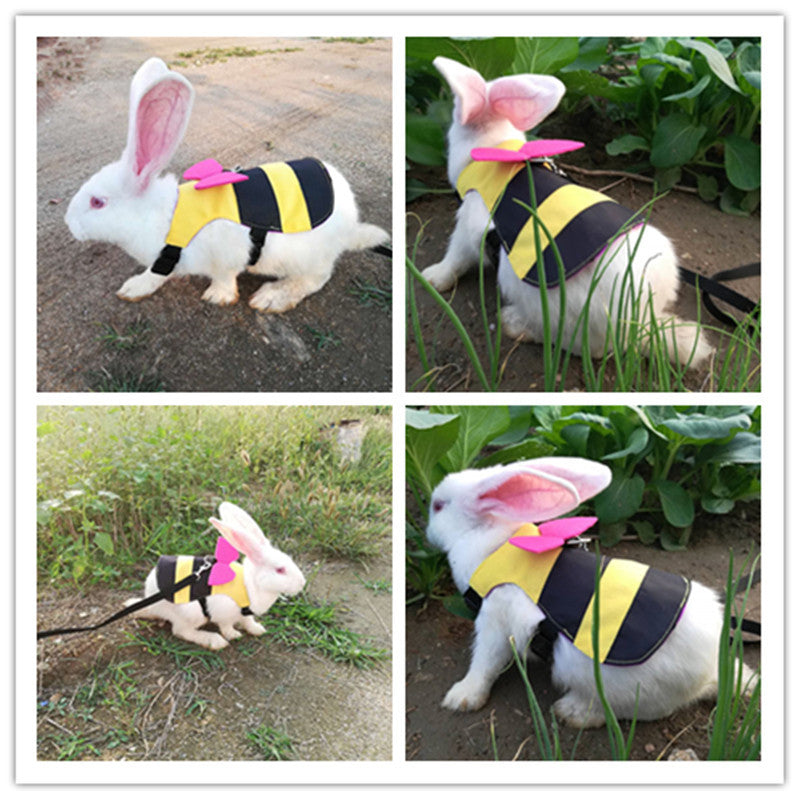 Cute Bee Costume Cat Rope Walking Chest Strap