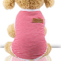 Puppy Fighting Teddy Cat Clothes