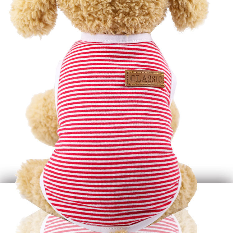Puppy Fighting Teddy Cat Clothes