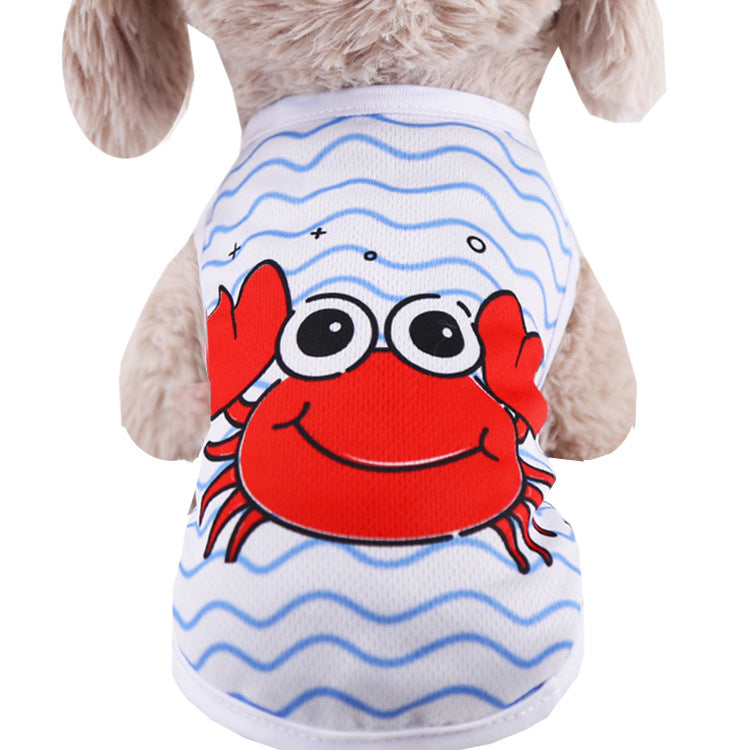 Puppy Fighting Teddy Cat Clothes