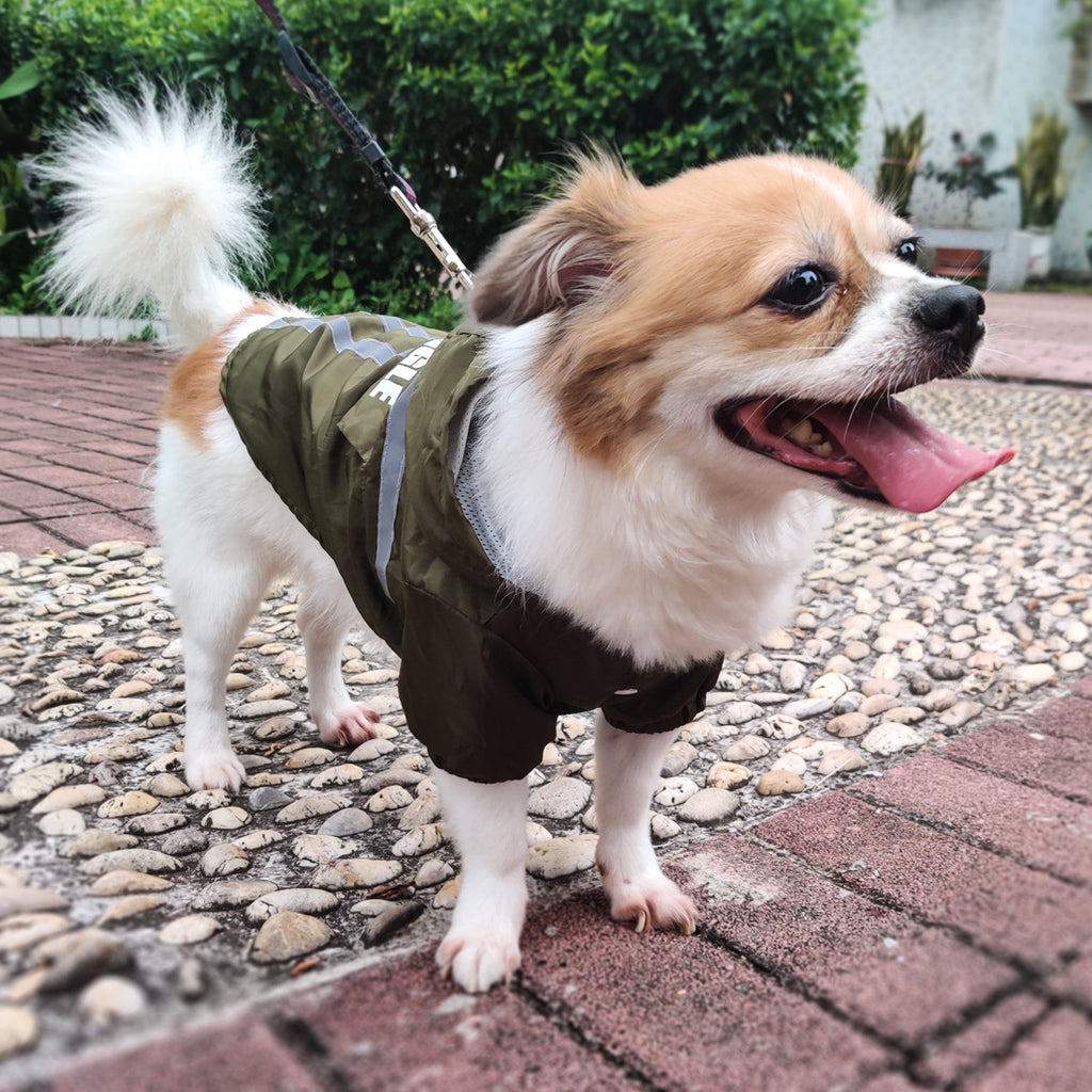 Pet Raincoat Reflective Strips Hooded Dog Clothes Waterproof, Storage And Folding