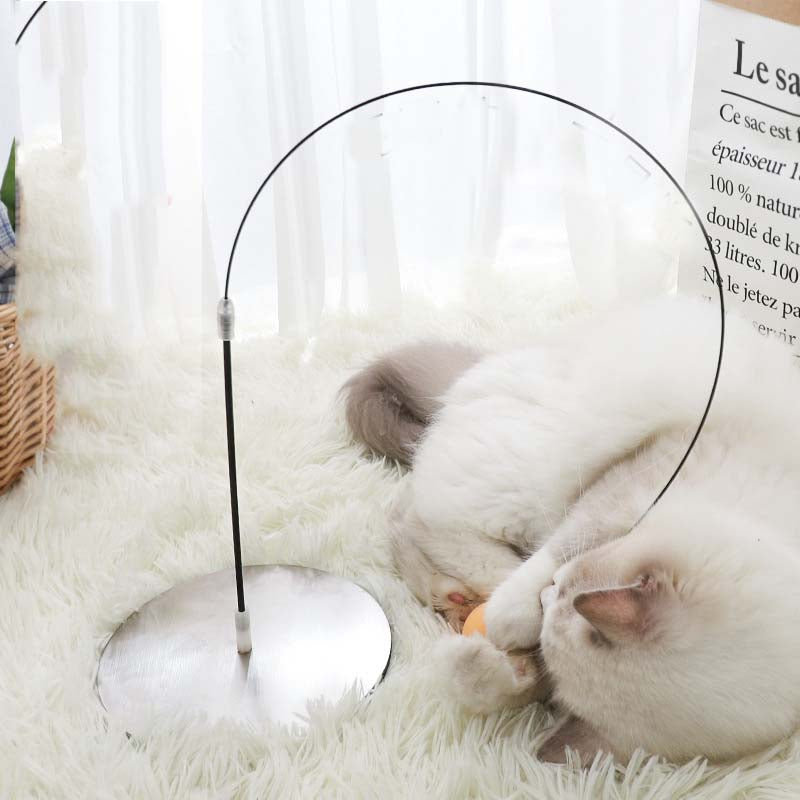 Funny Cat Stick Sucker Type Tumbler Table Tennis Cat Supplies