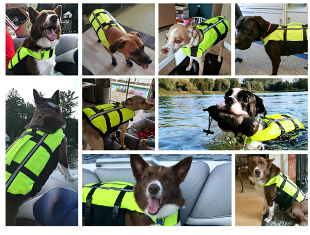 Inflatable Diving Fabric Pet Life Preserver Safety Dog Swimming Pool Vest