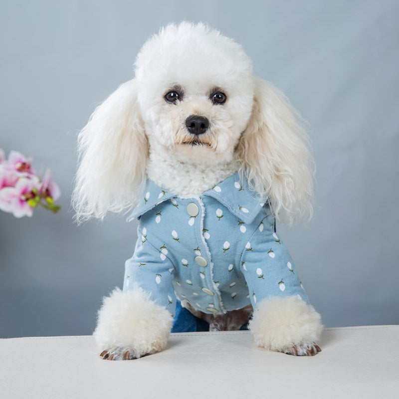 Four - legged Clothes Handsome British Dog Padded Clothes