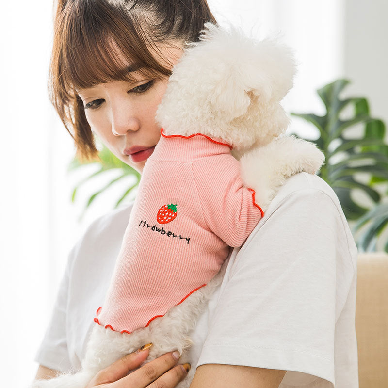 Breathable Strawberry Knitwear For Dogs And Pet Undercoat