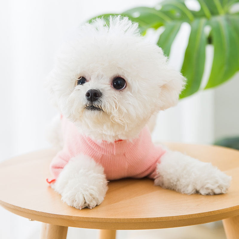 Breathable Strawberry Knitwear For Dogs And Pet Undercoat