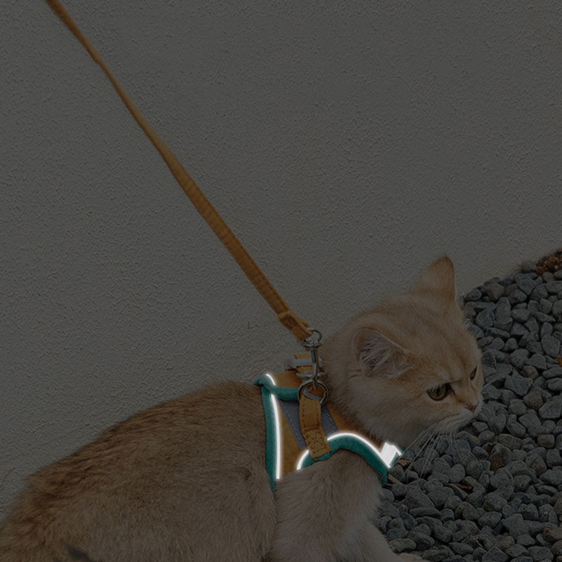 Cat traction rope vest-style reflective chest strap to prevent breaking free and cute to go out