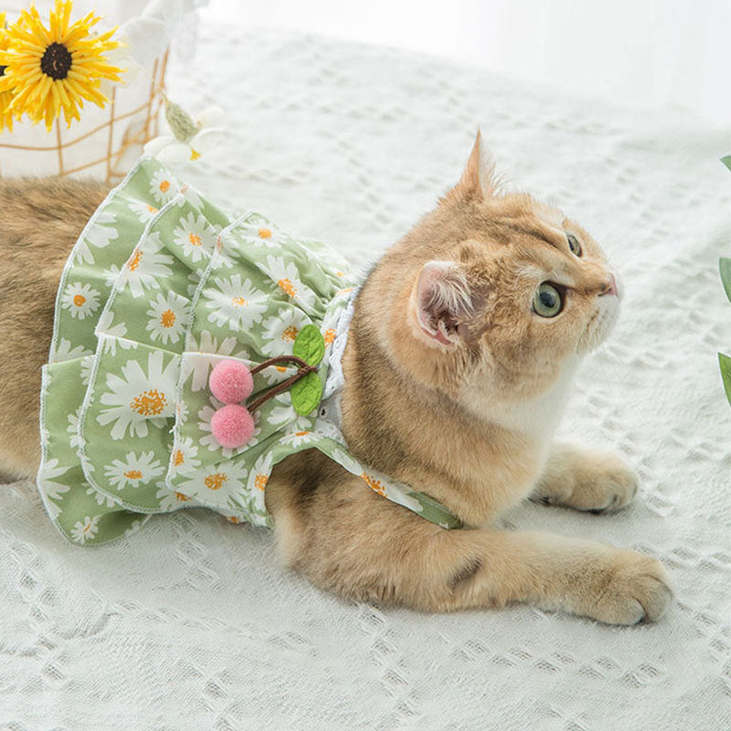 Summer Cat little Daisy Suspender Dress
