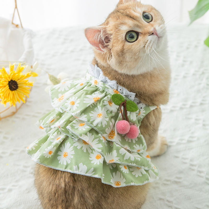 Summer Cat little Daisy Suspender Dress
