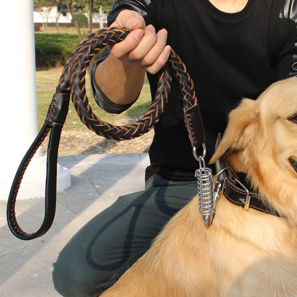 Pet Eight-strand Cowhide Spring Traction Rope