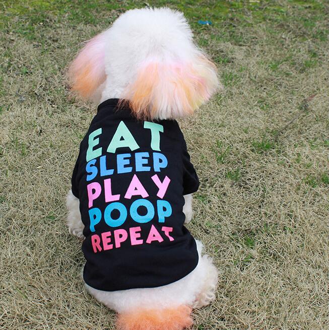 Teddy Bichon VIP Small and Medium Dog Clothes