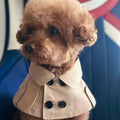 Winter Ins Pet Cats And Dogs Clothes Autumn And Winter Clothes Warm Trench Coat Cute Teddy Puppet Cat Net Red
