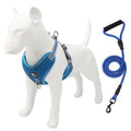 Pet chest Strap Dog Traction Rope