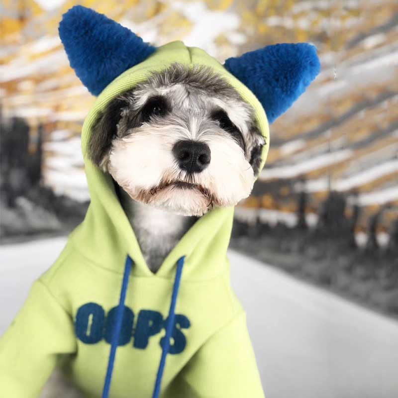 Dog Clothes Autumn And Winter Clothes Cotton Small Dog Xia Jiarong Pet Sweater