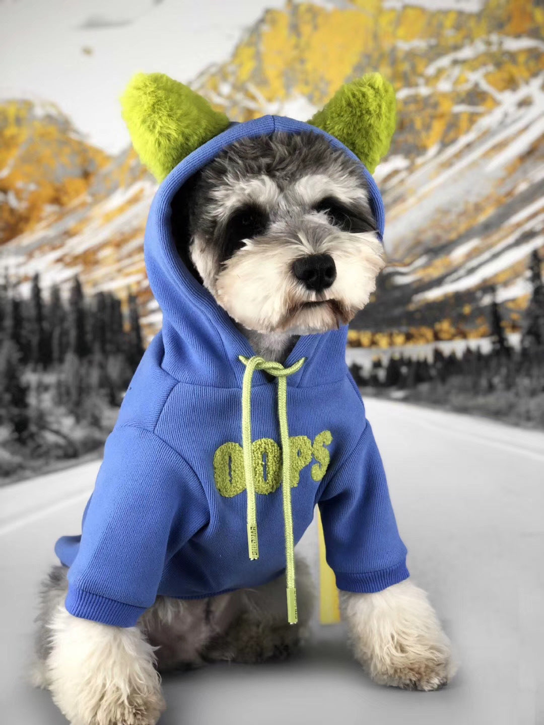 Dog Clothes Autumn And Winter Clothes Cotton Small Dog Xia Jiarong Pet Sweater
