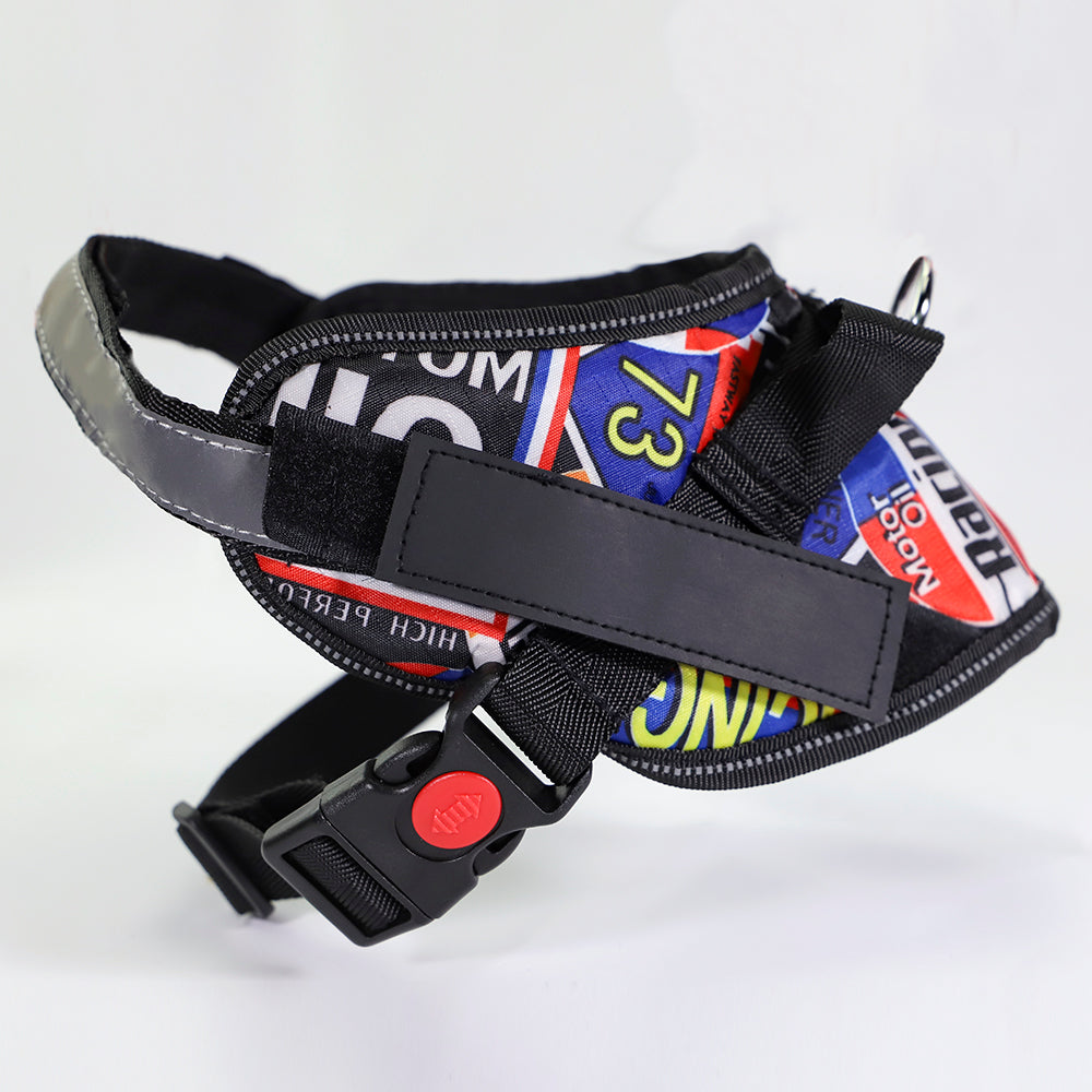 Pet chest strap with dog leash