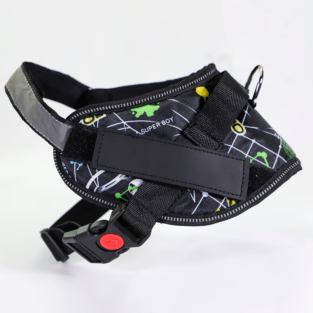 Pet chest strap with dog leash