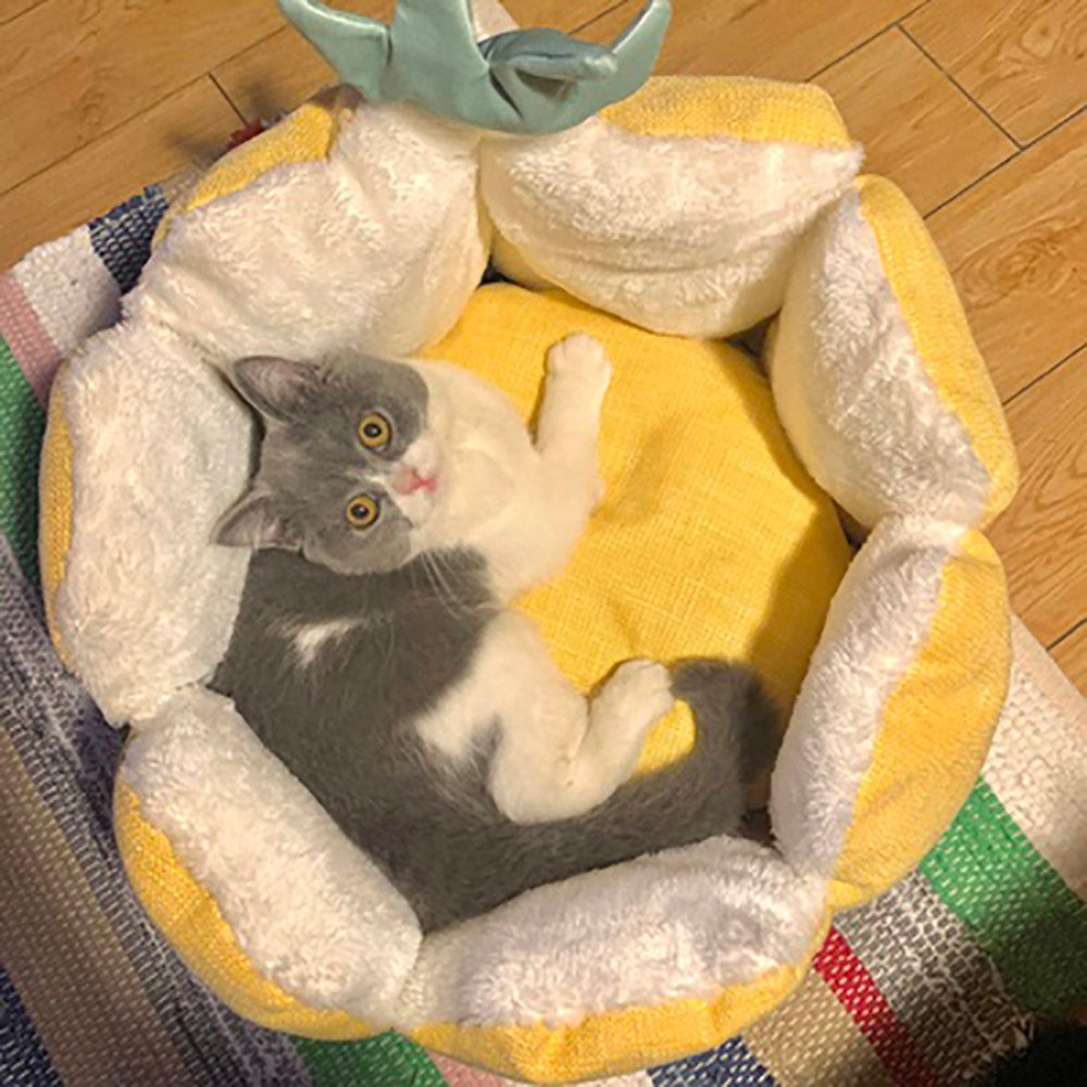 Cat Warm Cuddle Pineapple Bed Four Seasons