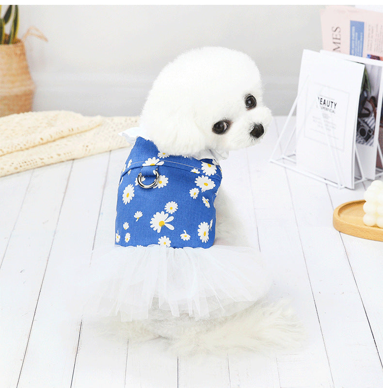 Small Dog Bichon Cute Princess Dress