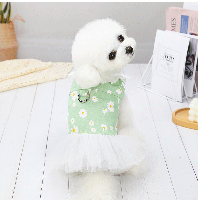 Small Dog Bichon Cute Princess Dress