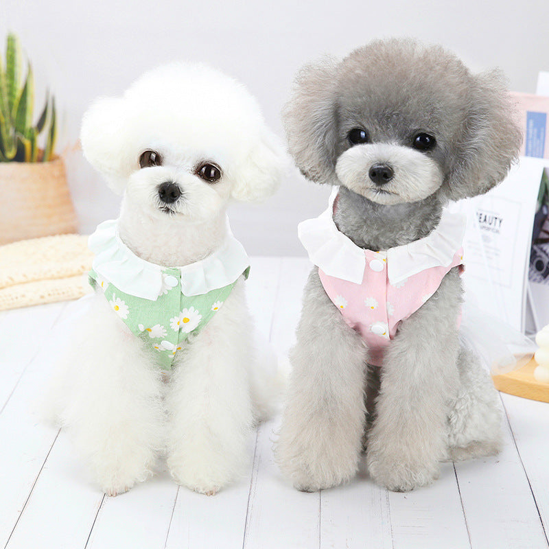 Small Dog Bichon Cute Princess Dress